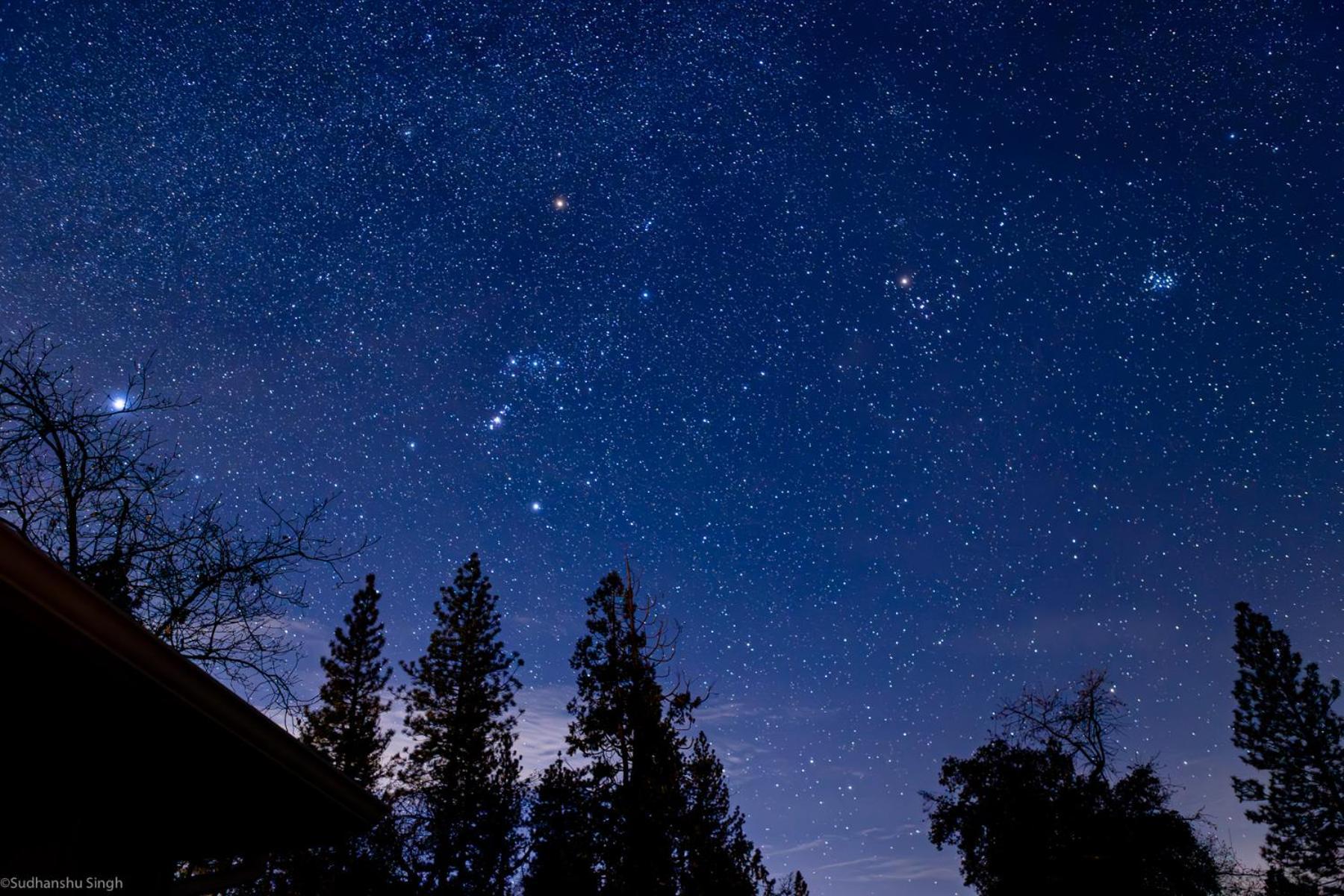 Mountain View, Near Yosemite & Bass Lake, Bbq, Fireplace,Evc 奥克赫斯特 外观 照片